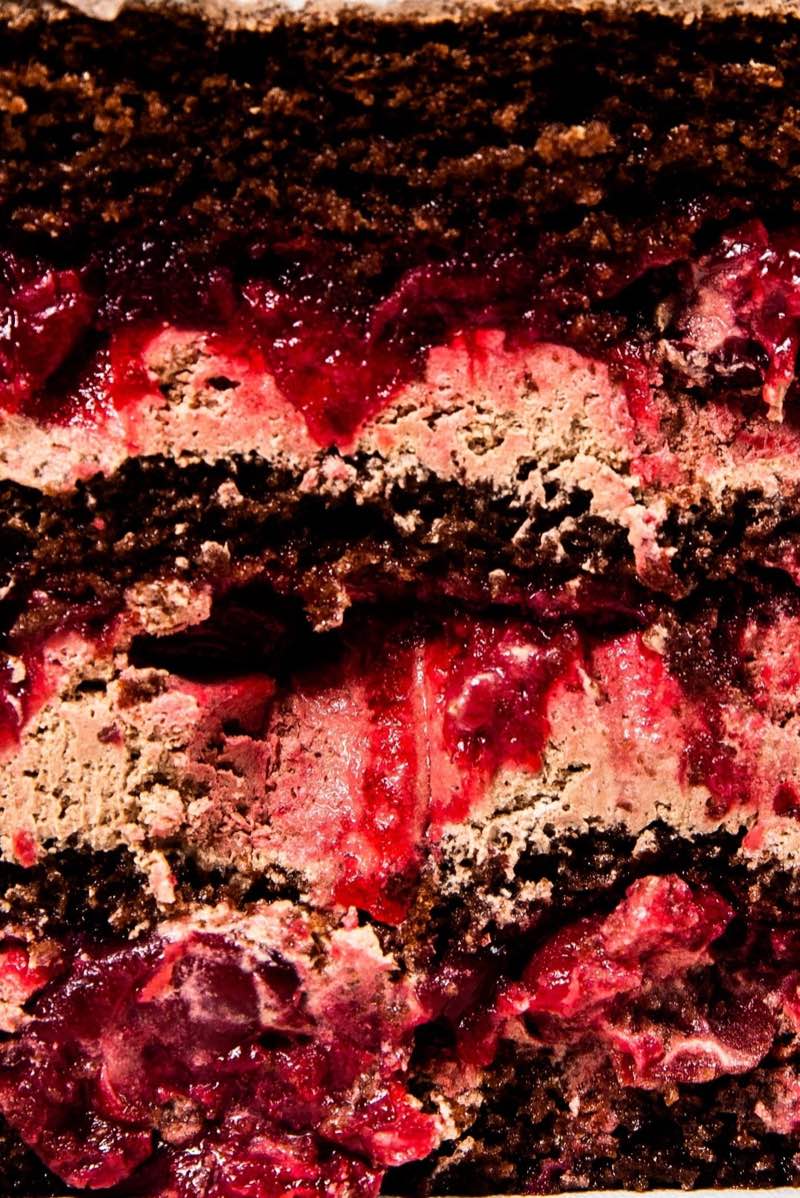 Macro cross-section of a chocolate and cherry layer cake, crumb and jam filling the frame